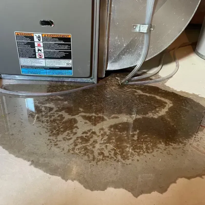 Appliance Leak Cleanup in Bruce, MS